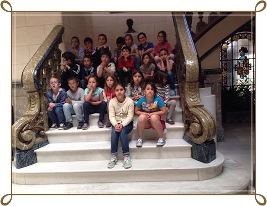 vive museo