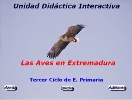 aves
