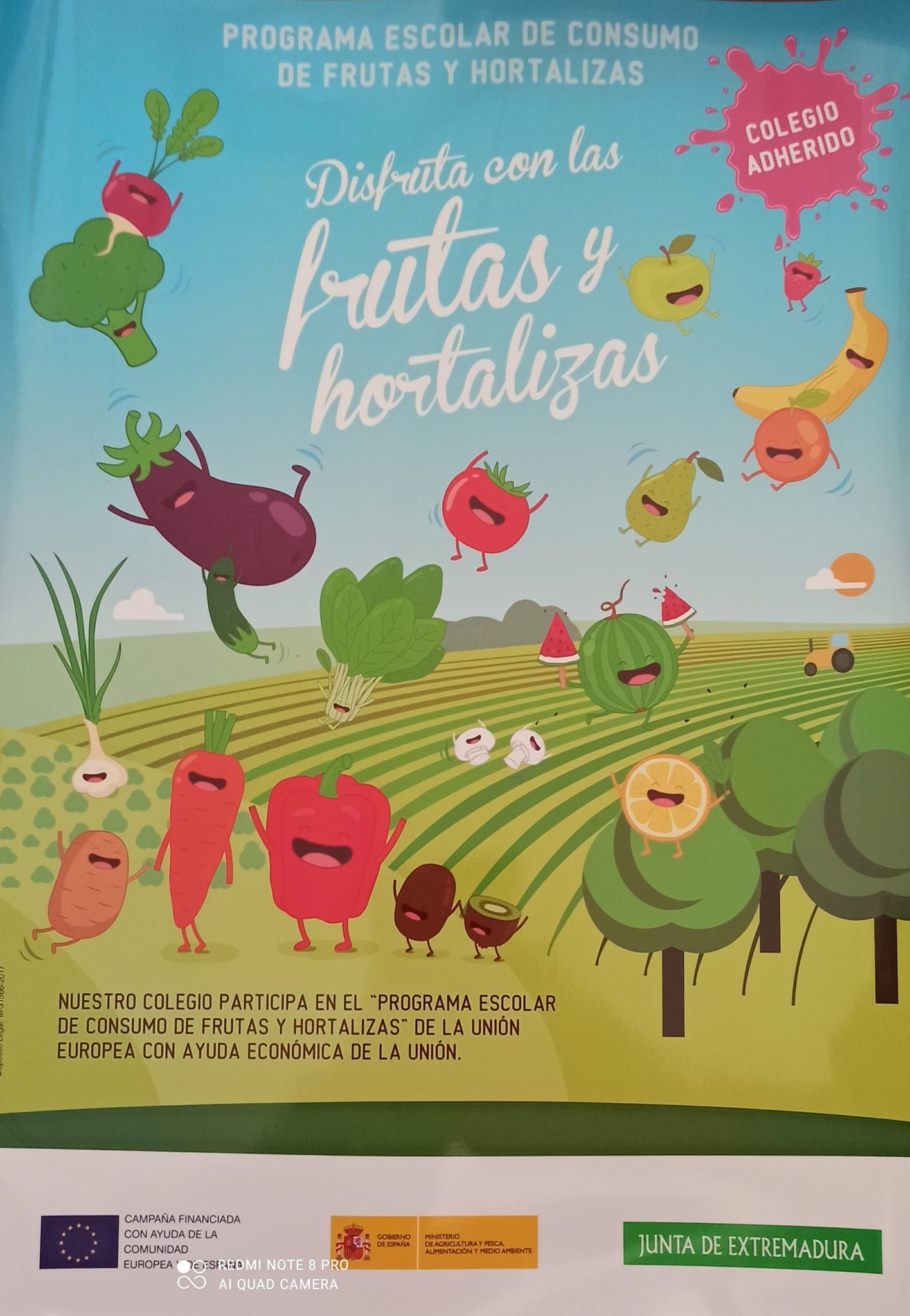 FRUTA