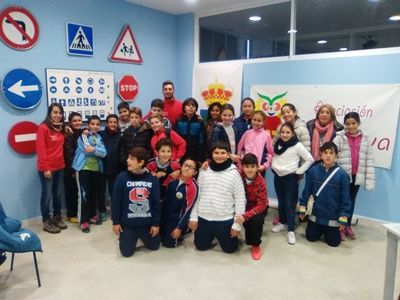 minerva grupo