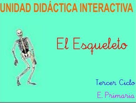esqueleto
